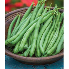 Beans Hybrid Seeds