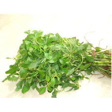 Spinach - Siru keerai (tamil) Seeds