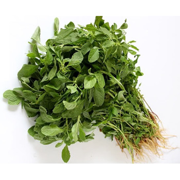 Spinach - Amaranthus dubius (Arai Keerai Tamil) Seeds