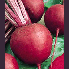 Beetroot Seeds