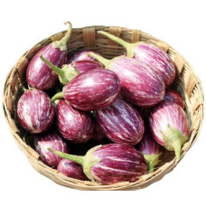 Brinjal CVK Seeds 