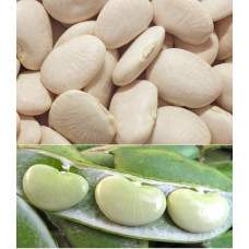 Butter beans Seeds 