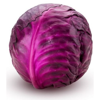 Cabbage Red Seeds
