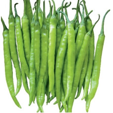 Chilli - Hot Slender chilli Seeds Chilli - Hot Slender chilli Seeds