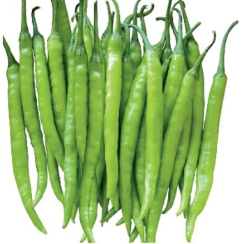 Chilli - Hot Slender chilli Seeds