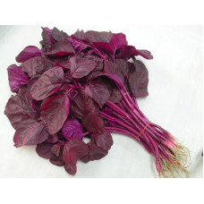 Spinach - Amaranthus Red Seeds
