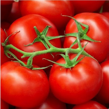 Tomato Seeds High Yield Seeds