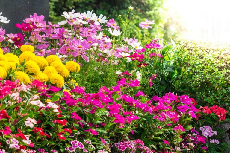 flower-garden-07_2048x2048