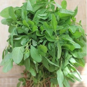 Tropical Amaranthus-Siru Keerai