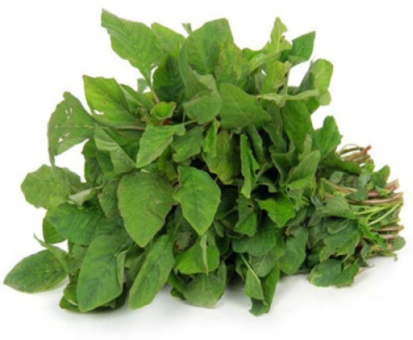 Amaranthus dubius (Arai Keerai Tamil) - Image 2