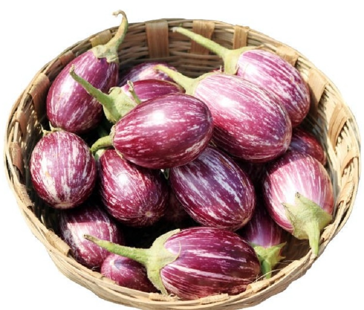 Brinjal CVK - Image 2