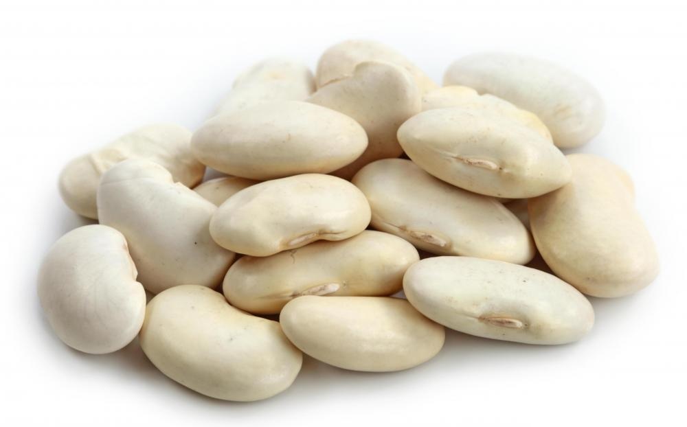 Double Beans - Image 3