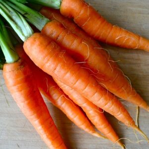 Carrot