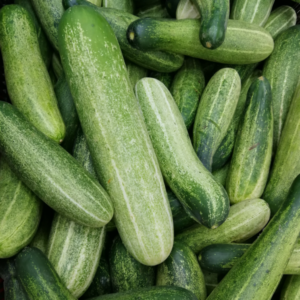 Cucumber