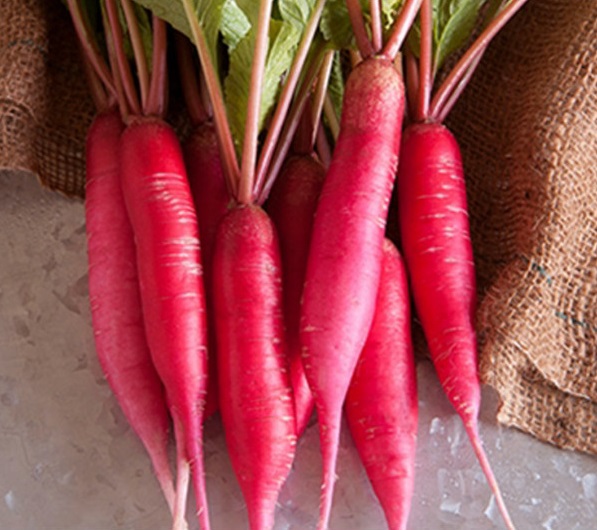 Radish Pink