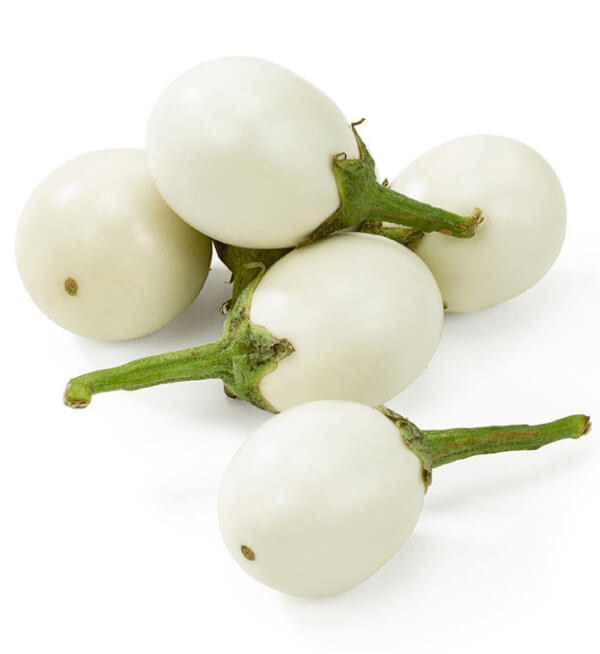 Brinjal White - Image 2