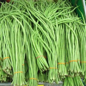 Yard long bean vegetable seeds for planting and home gardening